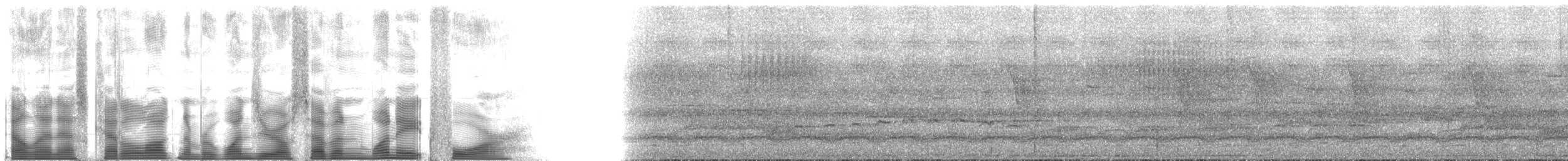 Carpophage brillant - ML107184