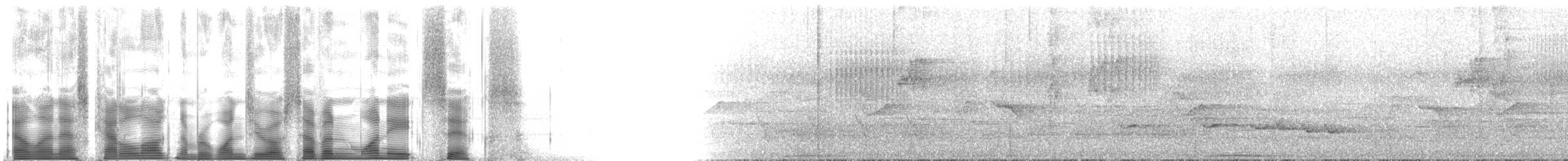 Braunbauchhuscher - ML107186