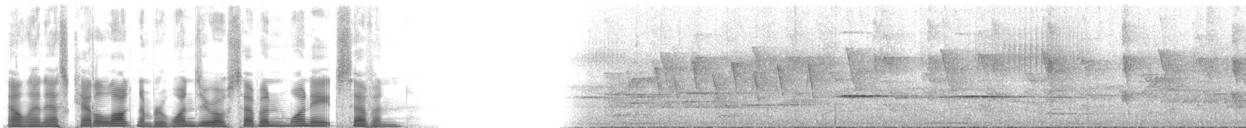 Wimpelträger-Paradiesvogel - ML107187