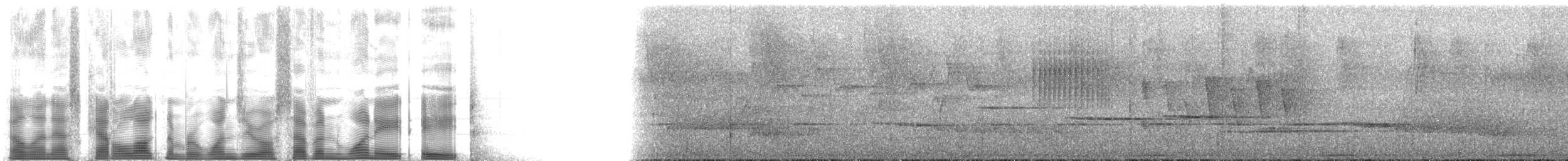 Elfenlori - ML107188