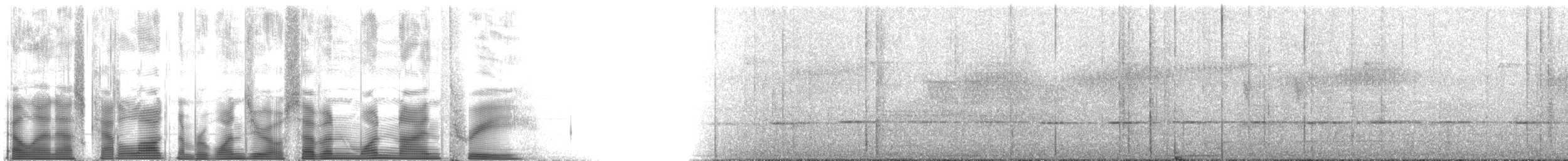 Bergraupenfänger - ML107193