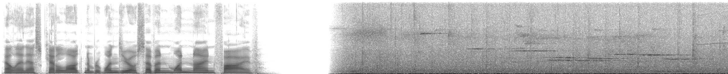 Wimpelträger-Paradiesvogel - ML107195