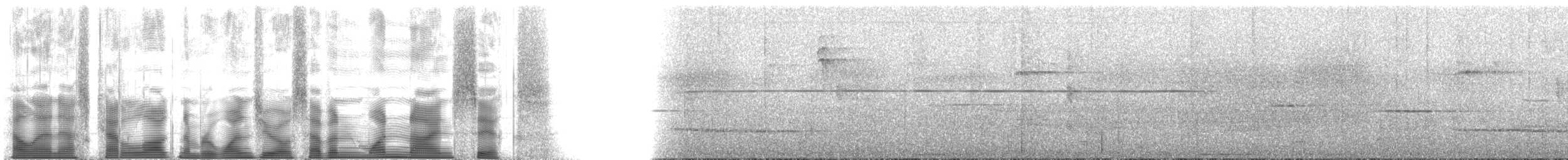 Oliv-Haubendickkopf - ML107196