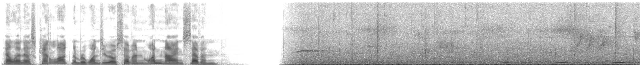 epålettfruktdue - ML107197