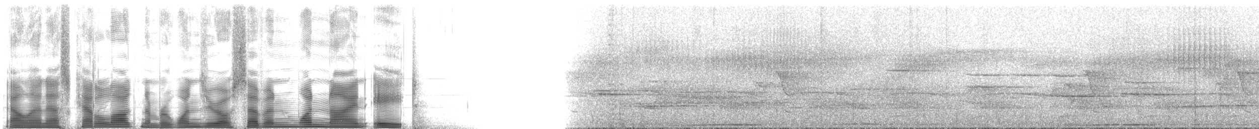 Dschungelflöter - ML107198