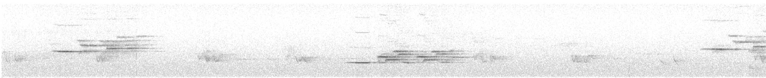 Münzevi Bülbül Ardıcı - ML107220271