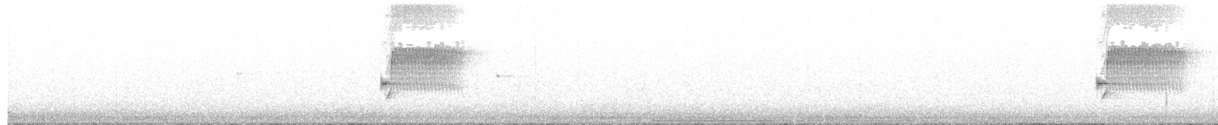 Тауї плямистий - ML107226921