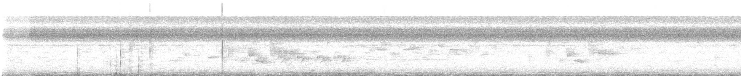 Поплітник каролінський - ML107242381