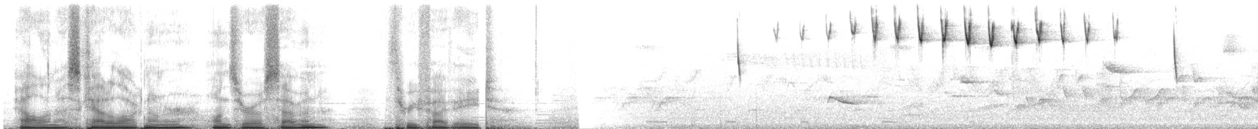 Пестрогрудая древесница - ML107358