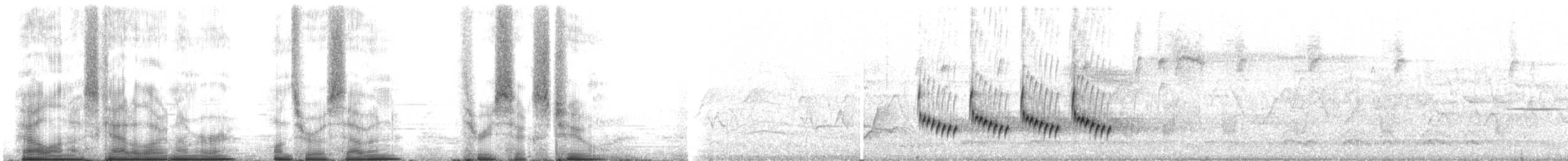 チャバラマユミソサザイ - ML107362