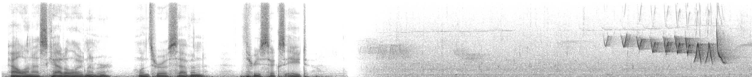 Northern Waterthrush - ML107368