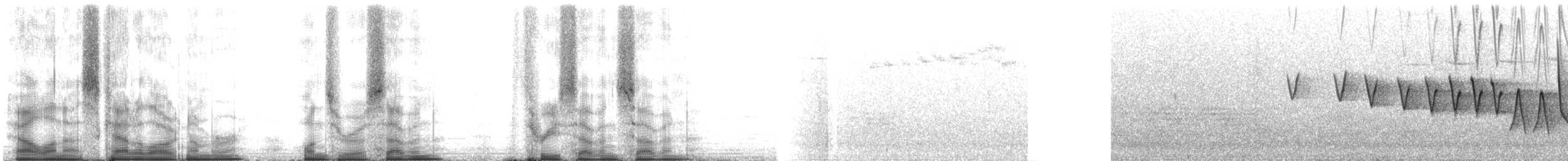 Northern Waterthrush - ML107377