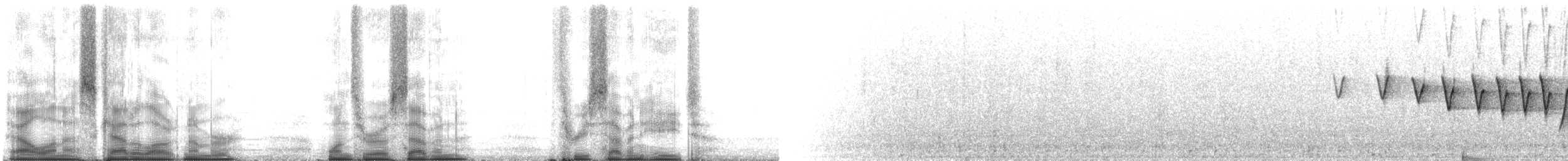 Northern Waterthrush - ML107378