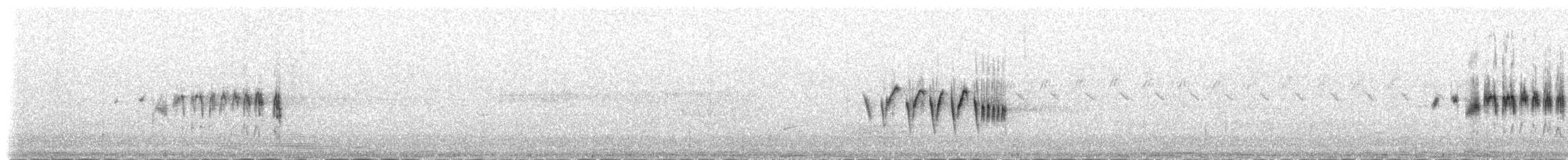 Горихвістка чорна (підвид gibraltariensis/aterrimus) - ML107385261