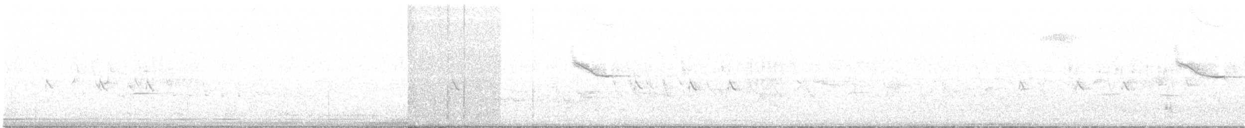 Бор шувууны багын тодорхойгүй зүйл - ML107412581