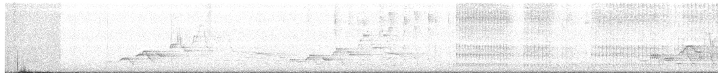 Swainson's Thrush - ML107412831