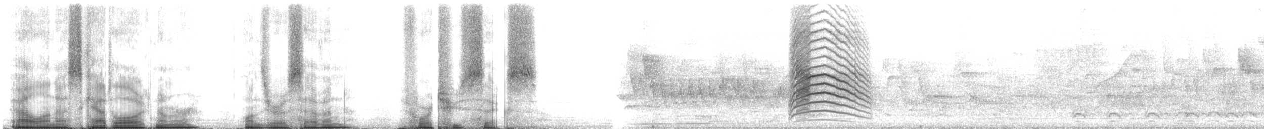 Miaulari grisa - ML107426