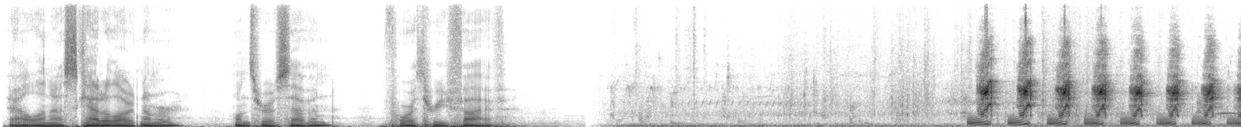 Virginiaralle - ML107435