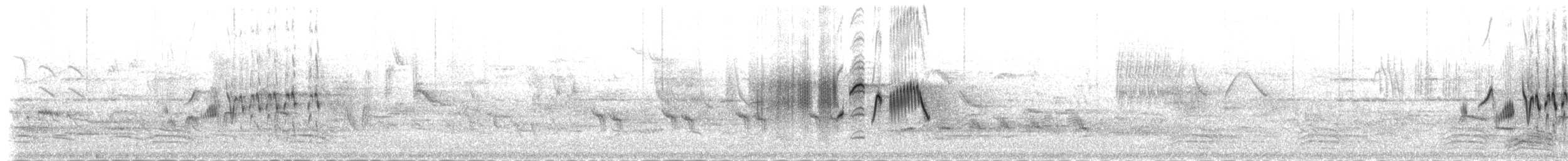 Черная горихвостка (gibraltariensis/aterrimus) - ML107453781