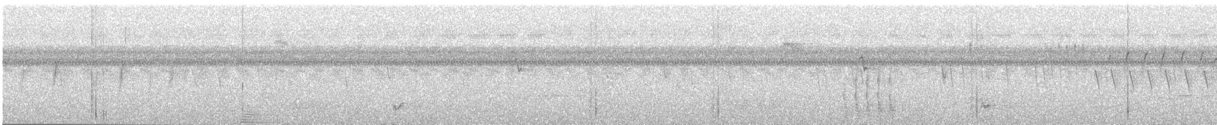 Moluccan Eclectus - ML107478931