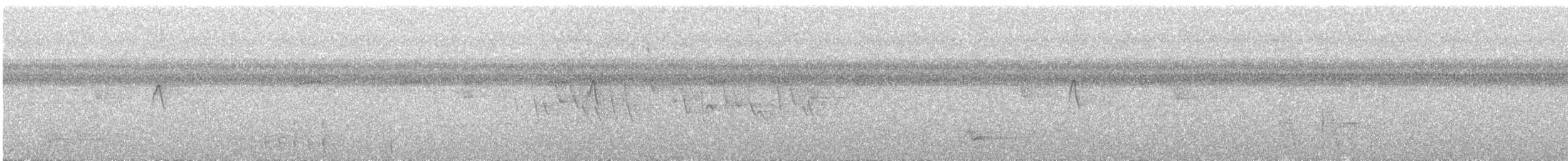 Moluccan Eclectus - ML107479011