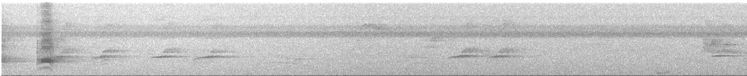 Moluccan Eclectus - ML107480141