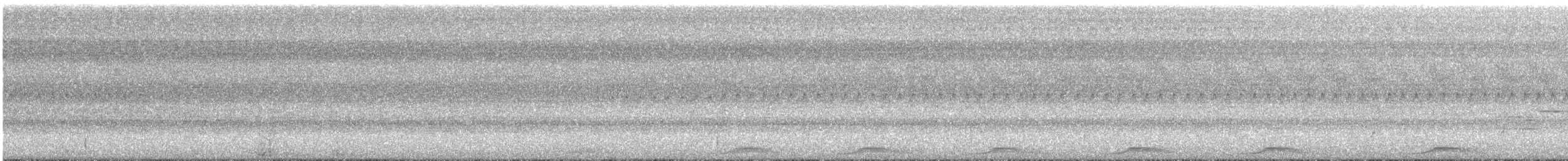 holub světleoký - ML107526801