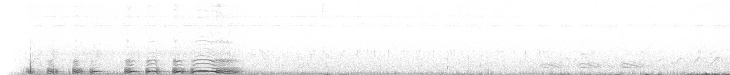 Chouette rayée - ML107528291