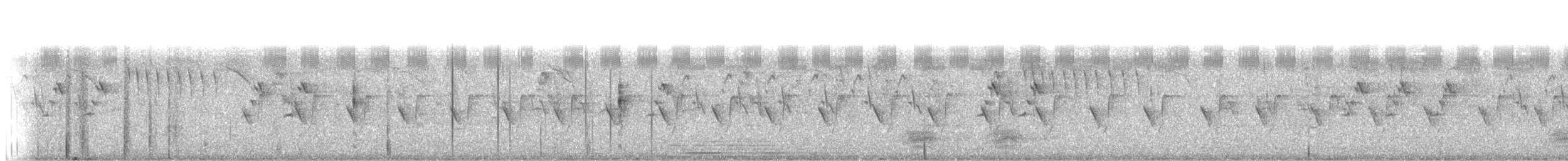 灰胸秧雞 - ML107529951
