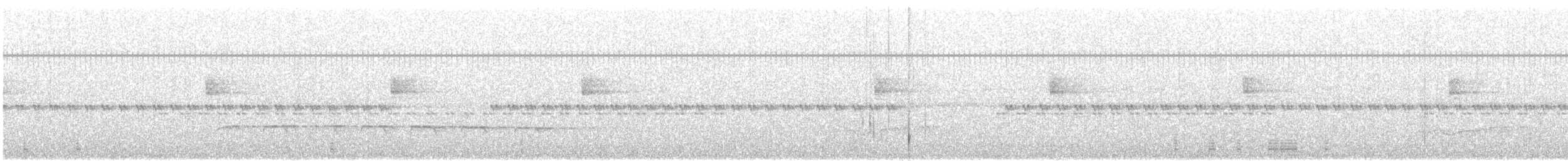 Weißbinden-Ameisenvogel - ML107547561