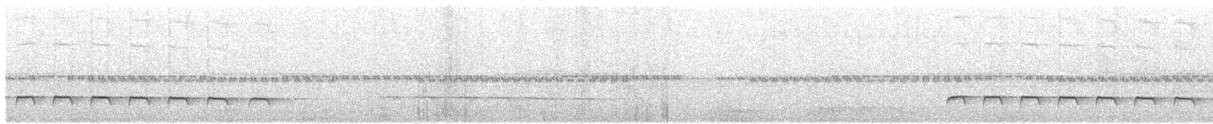Weißbinden-Ameisenvogel - ML107547591