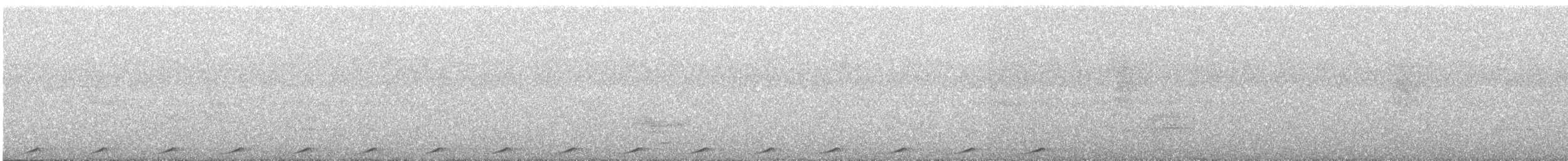 holub světleoký - ML107549271