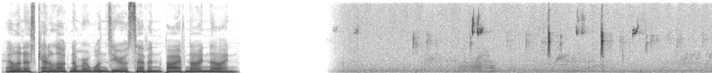 Paruline à croupion jaune (auduboni) - ML107599