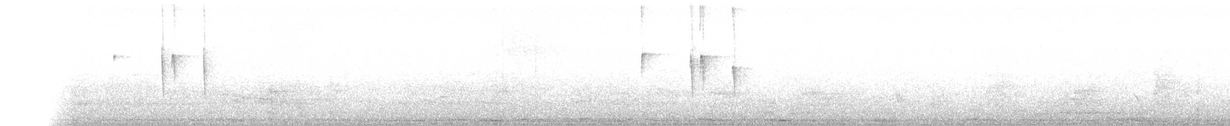 White-crested Tyrannulet (Sulphur-bellied) - ML107617871