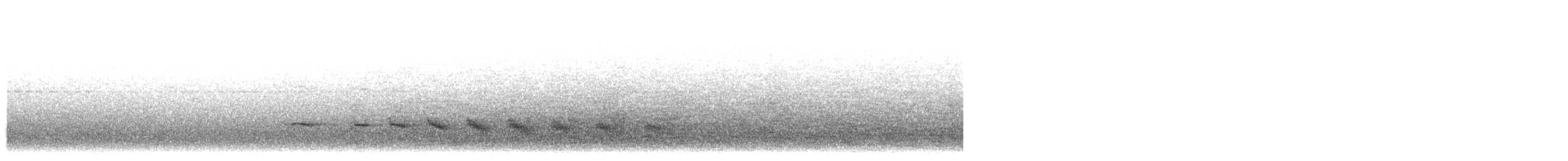 Strichelschulter-Ameisenschnäpper - ML107633441