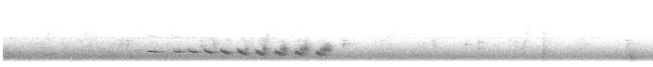 Strichelschulter-Ameisenschnäpper - ML107633741