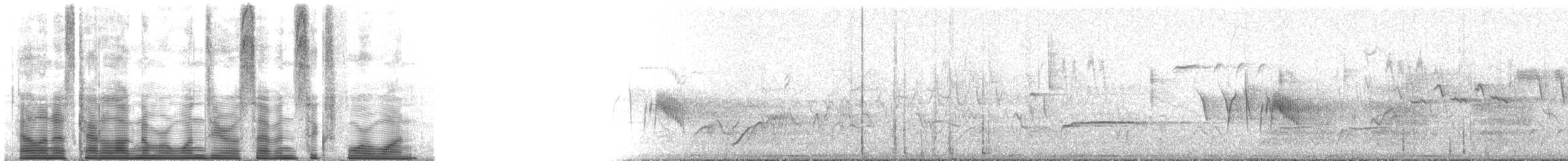 Bant Kuyruklu Güvercin [fasciata grubu] - ML107641