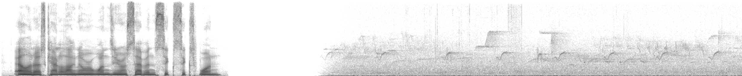 bånddue (fasciata gr.) - ML107661