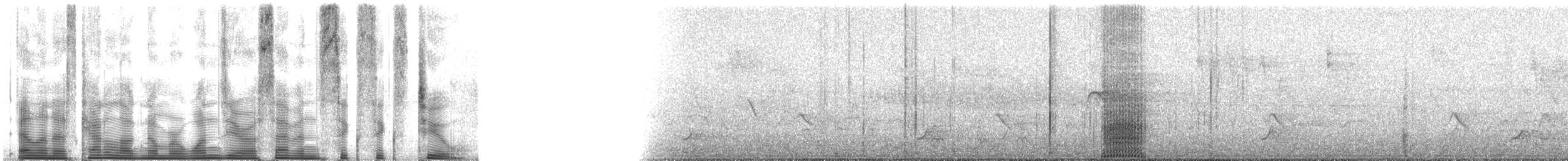 bånddue (fasciata gr.) - ML107662