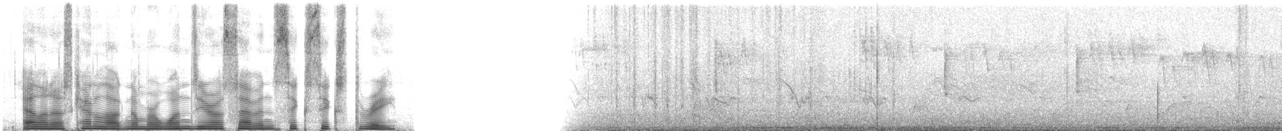 bånddue (fasciata gr.) - ML107663