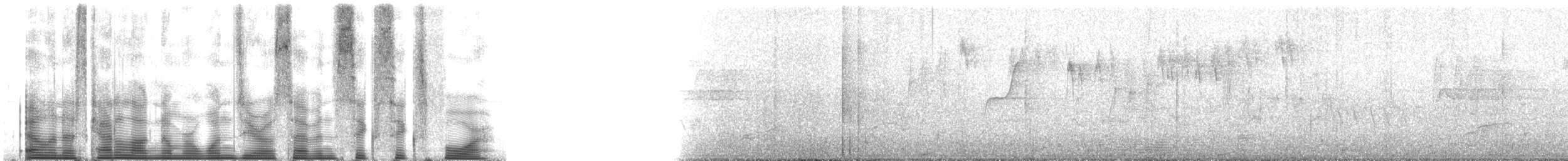 holub pruhoocasý [skupina fasciata] - ML107664