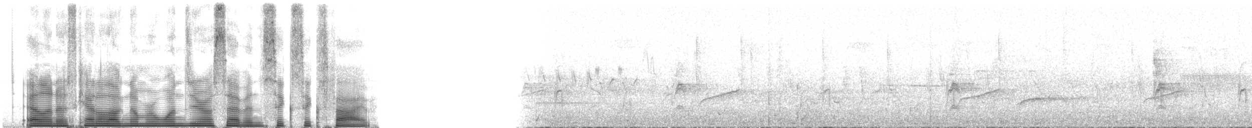 holub pruhoocasý [skupina fasciata] - ML107665