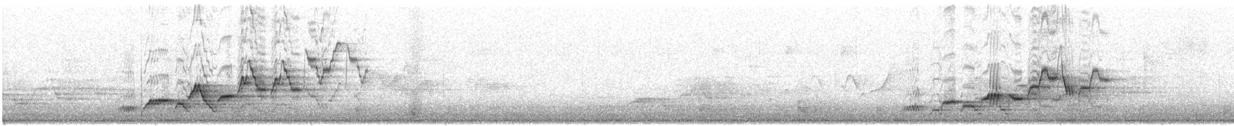 Дрізд-короткодзьоб Cвенсона - ML107668171