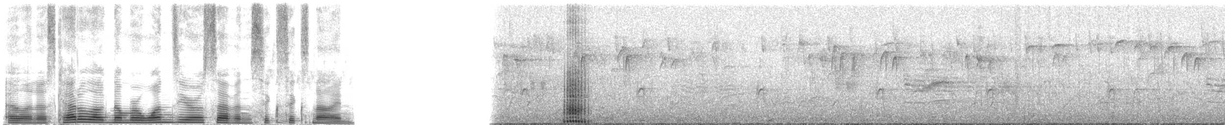 holub pruhoocasý [skupina fasciata] - ML107669