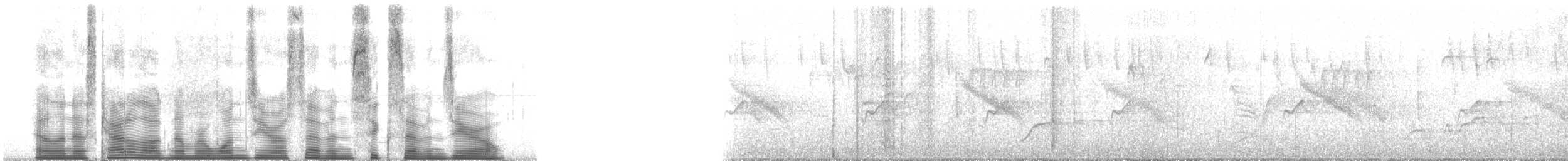 bånddue (fasciata gr.) - ML107670