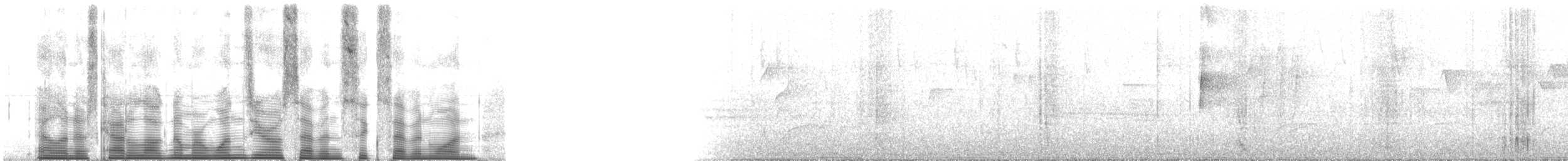 bånddue (fasciata gr.) - ML107671