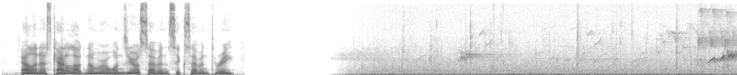 bånddue (fasciata gr.) - ML107673