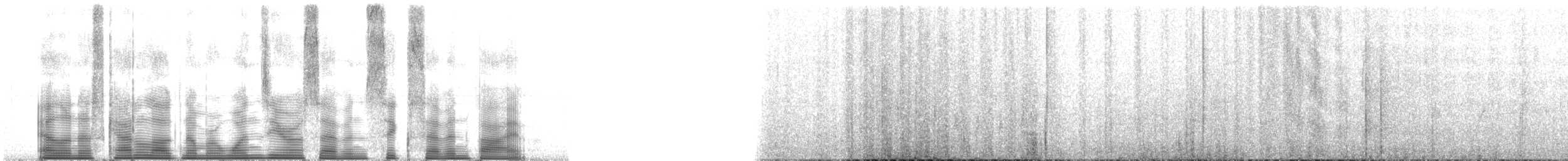 bånddue (fasciata gr.) - ML107675