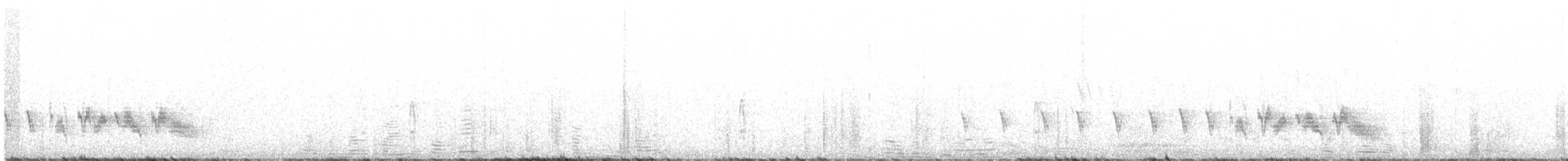 Buntspecht (canariensis/thanneri) - ML107676771