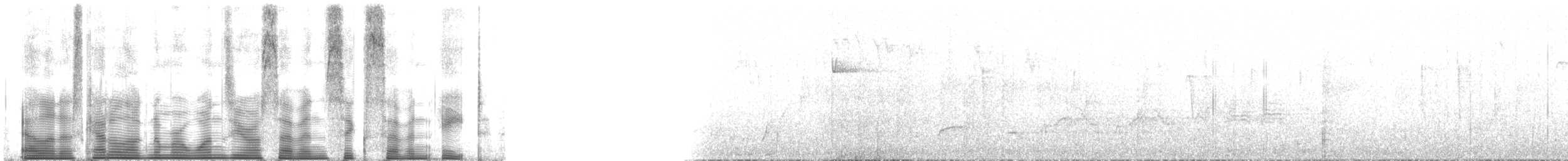 bånddue (fasciata gr.) - ML107678